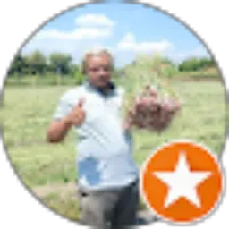 Review From ONE WAN GONDRONG
