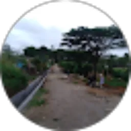 Review From Sofyan Lubis