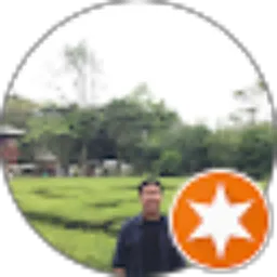 Review From HARPIANI