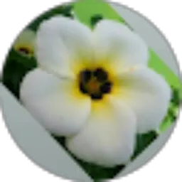 Review From 181OOO258_ Yopita Santi