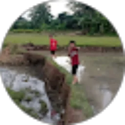 Review From Putra Dimas