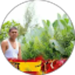 Review From Adrianto Rahim