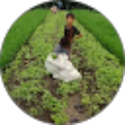Review From Joko Winarno0326