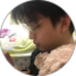 Review From Mr Chu