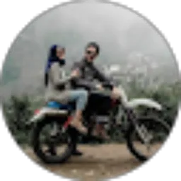 Review From Dimas Bimbi