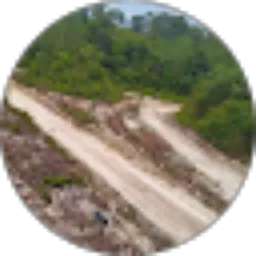 Review From Saiman