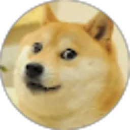 Review From Yuki Doge