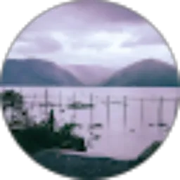 Review From Tupic Fan
