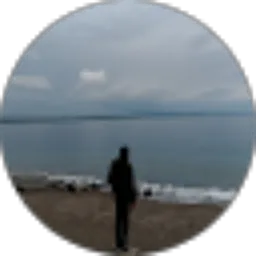 Review From PETRIK APPNNO
