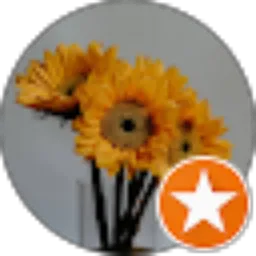Review From Sofyan