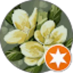 Review From Wati Sri Haryati