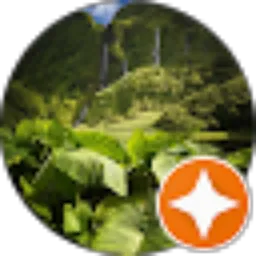 Review From Aan 35