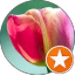 Review From Nella Rosyalina