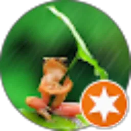 Review From arya haryanto
