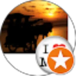 Review From Moch. Choliq