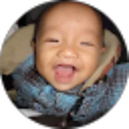 Review From Ajeng pratita Sadastikara