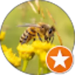 Review From nurain