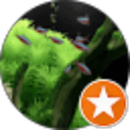 Review From chunn champ