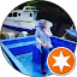 Review From lies kurnia