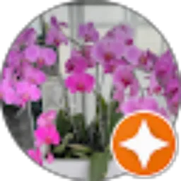 Review From Fira Silvia