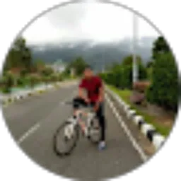 Review From alfino riskiandro