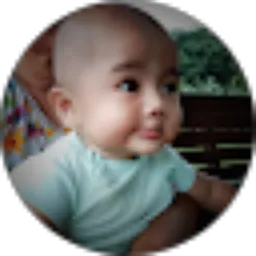 Review From Frengki Saputra