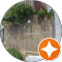 Review From Renaldo Arie