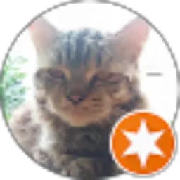 Review From MJ KaLe