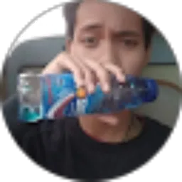 Review From Aris Suriyono