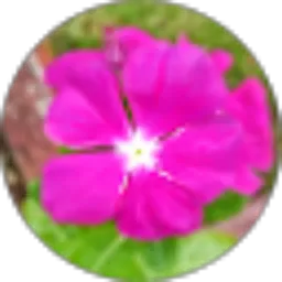 Review From margareta sawen