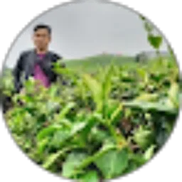 Review From Andrie Meliyadi25