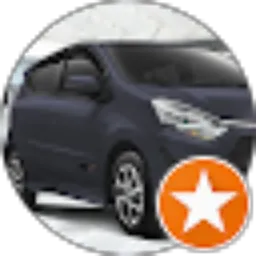 Review From the OPTION concept