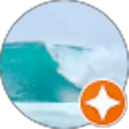 Review From SAL파이잘