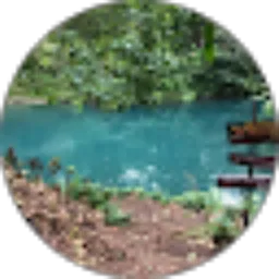 Review From Black Channel