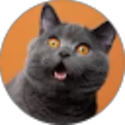 Review From bleki cat
