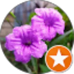 Review From Fudhien Rio