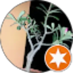 Review From bahar sofian