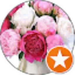 Review From S L