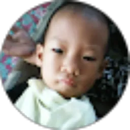 Review From Triwidodo Widodo