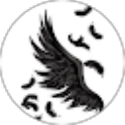 Review From Raiyn Gaming