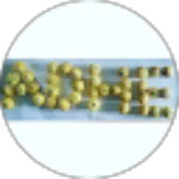 Review From adhe fachriady