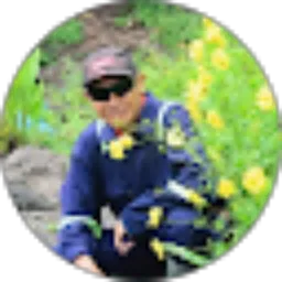 Review From Emanuel Porat