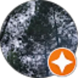 Review From Silent_ production