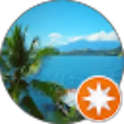 Review From Prio S