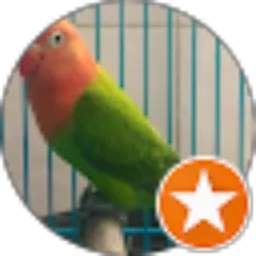 Review From edwin fabian