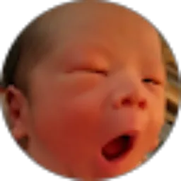 Review From Frenky Zhou