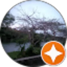 Review From Edi Sslo