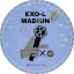 Review From Fanbase EXO Madiun