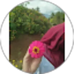 Review From feviola yohana putri
