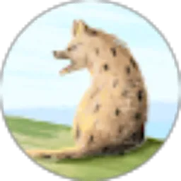Review From Dion D